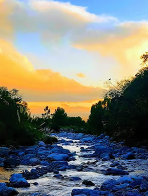 Naturaleza